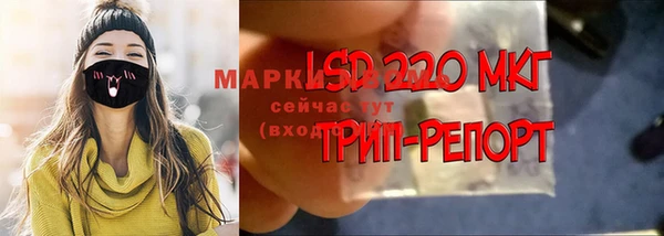 гидра Алексеевка