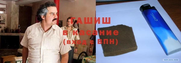 гидра Алексеевка