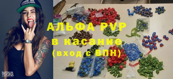 стаф Алзамай