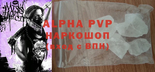 стаф Алзамай