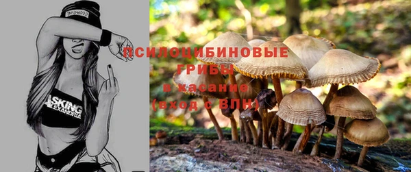 гидра Алексеевка