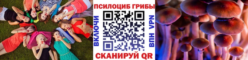 Псилоцибиновые грибы Psilocybe даркнет клад Южно-Сухокумск